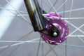#quamenbikes #isyar #ardour #ciari #rennendesign