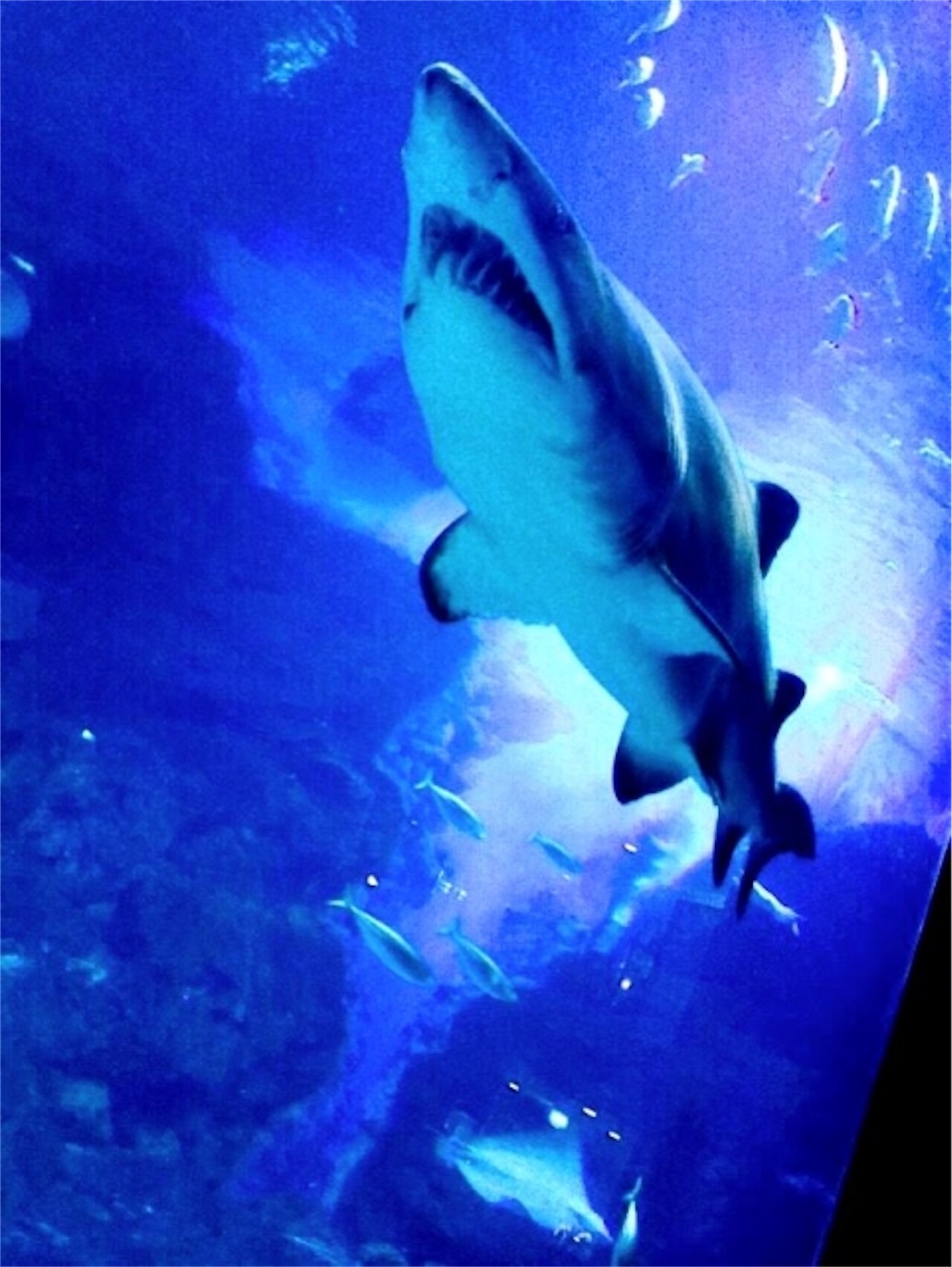 f:id:cumata-tan:20201106181652j:plain