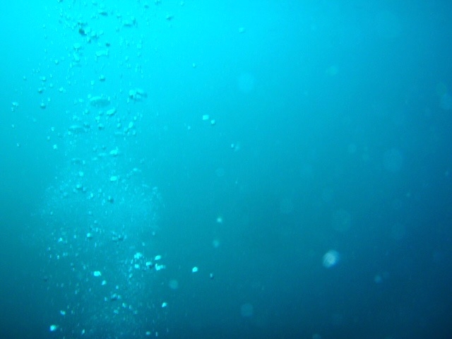 f:id:cumata-tan:20201125202649j:plain