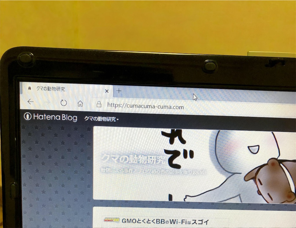 25 熊 書き方 コツ 熊 書き方 コツ