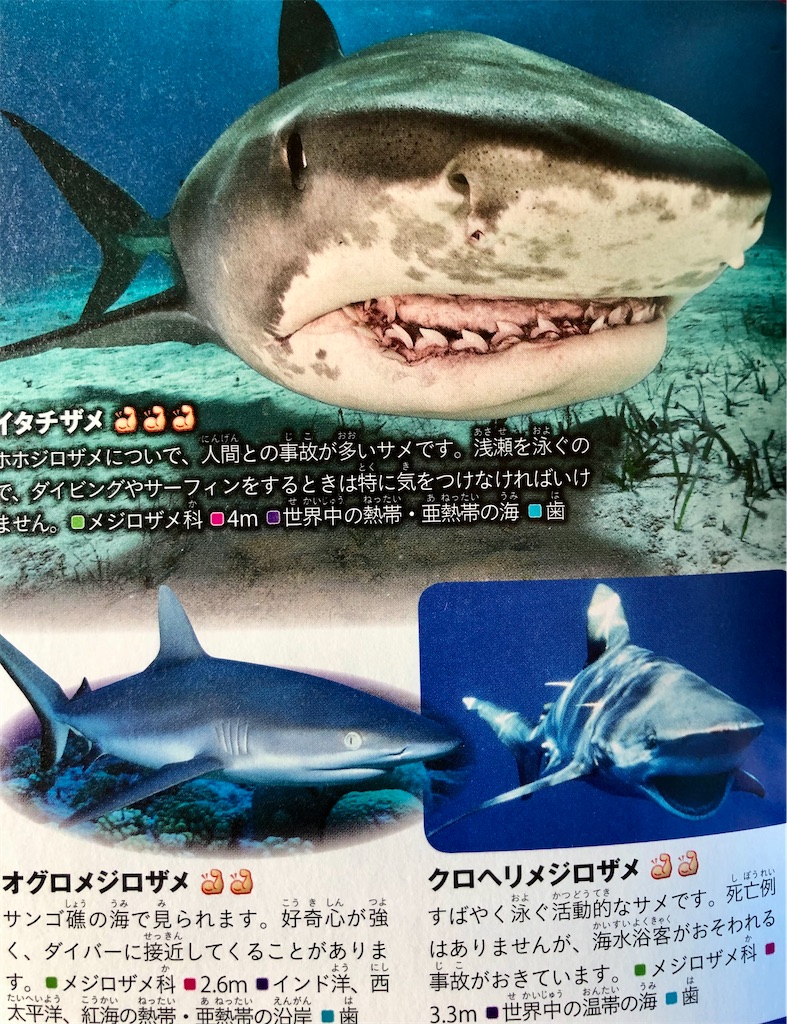 f:id:cumata-tan:20210710144704j:plain