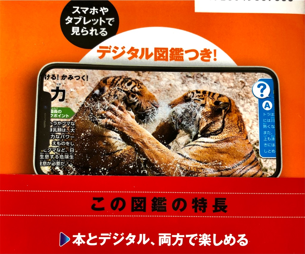 f:id:cumata-tan:20210710144759j:plain