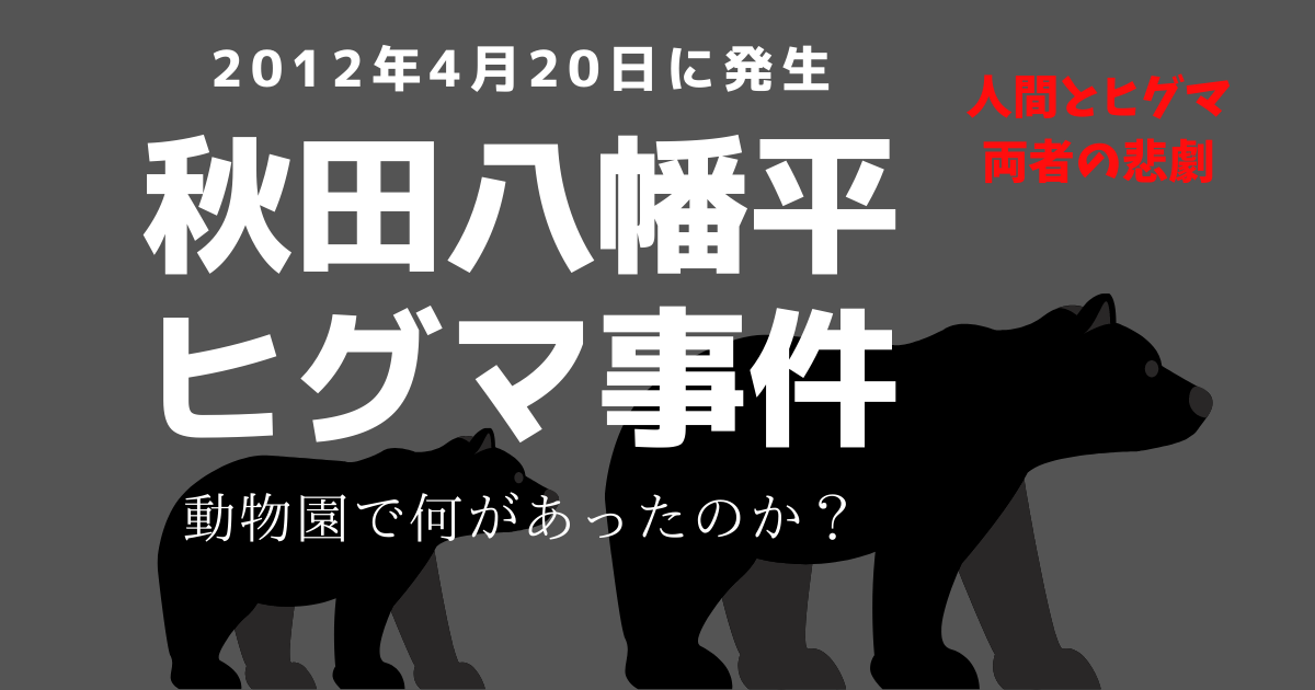 秋田八幡平クマ牧場で起きた悲劇 アンビリーバボーでも紹介された平成の大事件 クマの動物研究