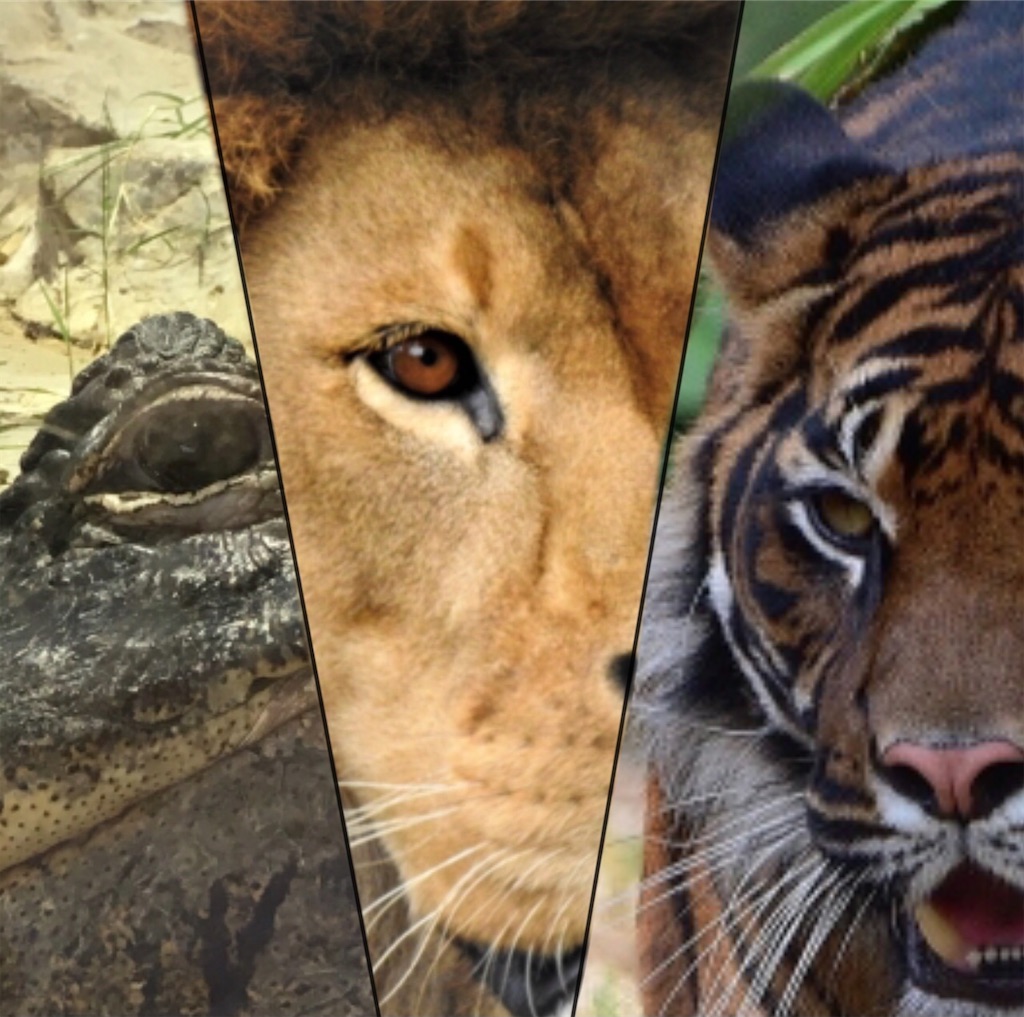 世界最悪の獣害事故