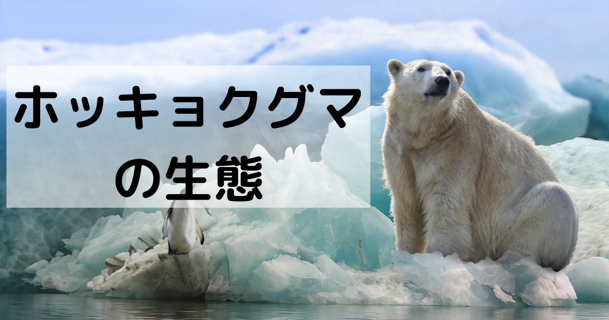 ホッキョクグマとは海岸で待ち伏せてアザラシを捕まえる頭のいい危険生物 クマの動物研究