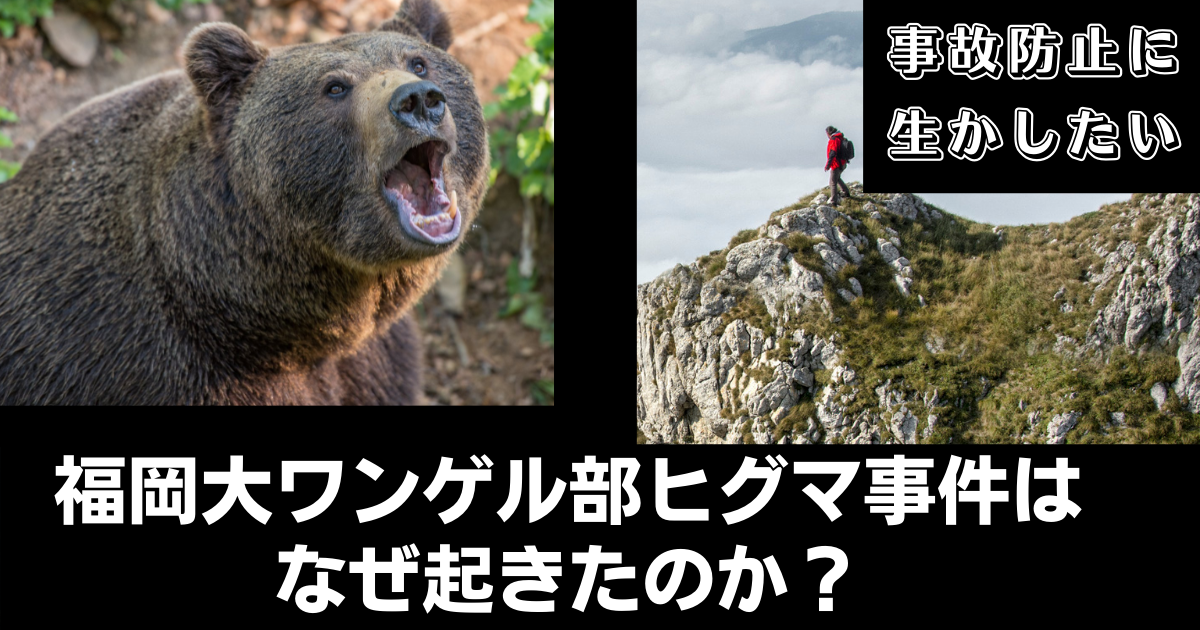 福岡大学ワンゲル部ヒグマ事件がなぜ起きたかを考えて事故防止に生かす クマの動物研究