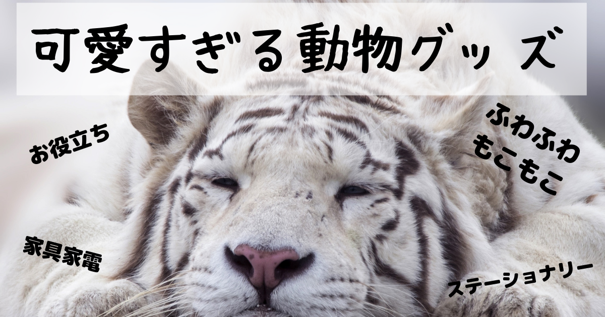 可愛すぎる動物グッズ 人気の100選 クマの動物研究