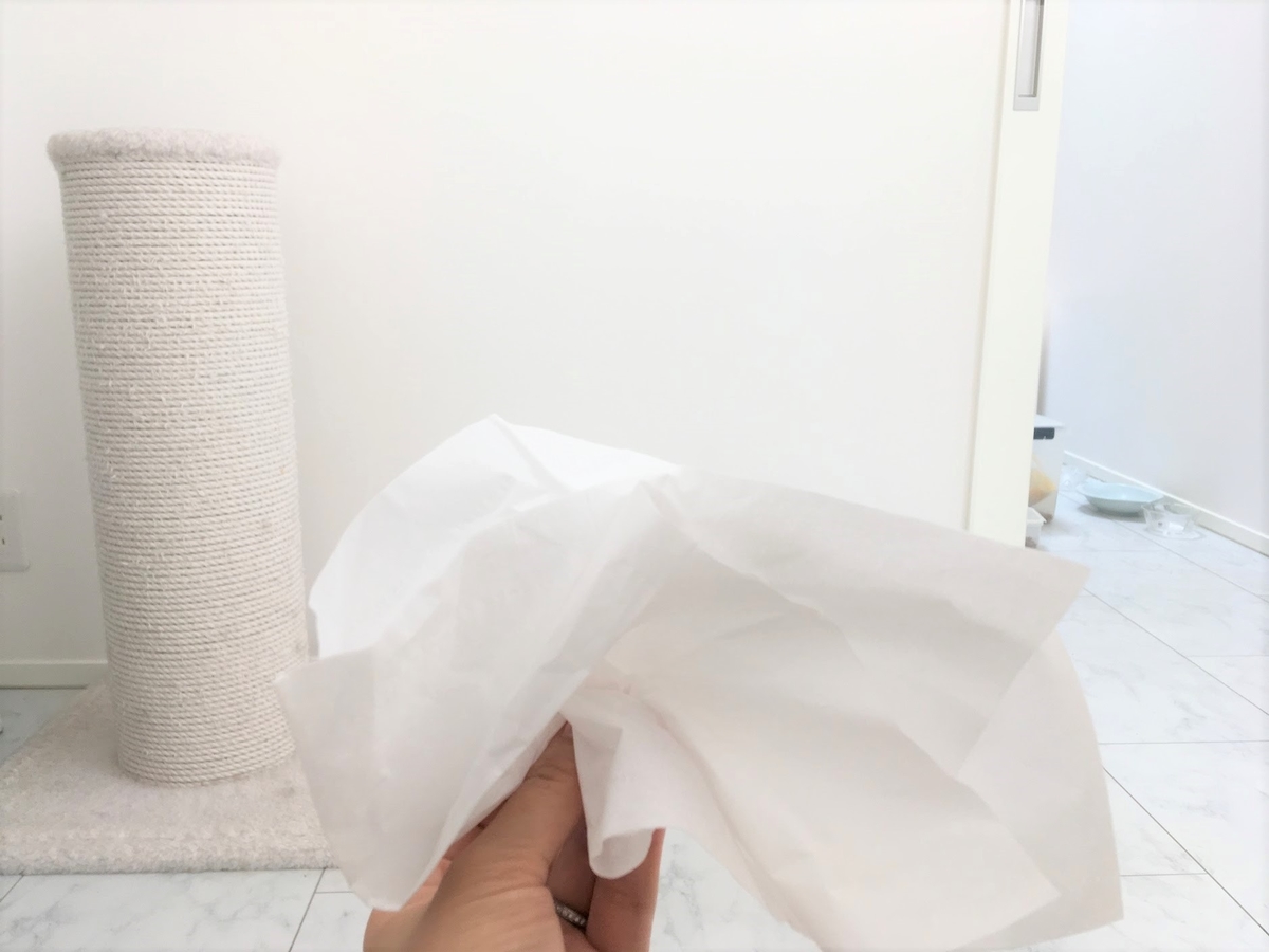 f:id:cumicumi100:20190603104544j:plain