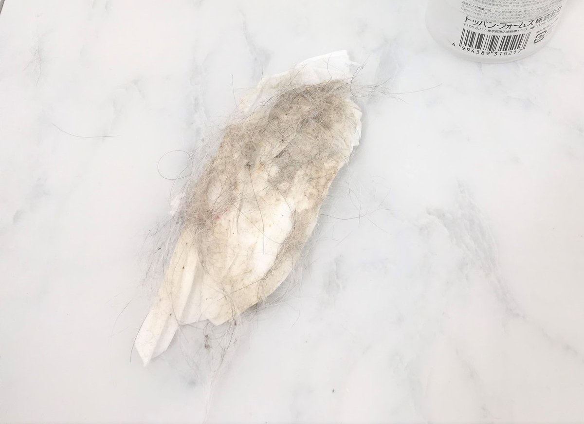 f:id:cumicumi100:20190603104550j:plain