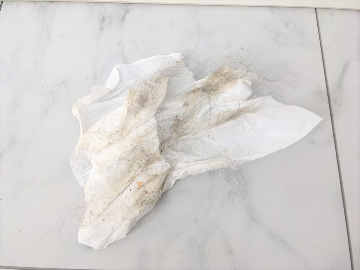 f:id:cumicumi100:20190603112427j:plain
