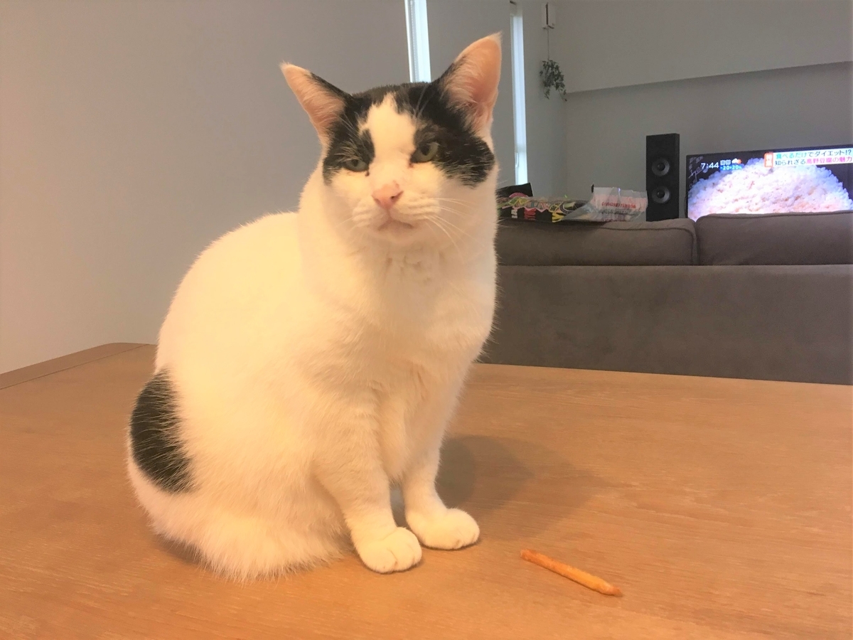 f:id:cumicumi100:20190909164856j:plain