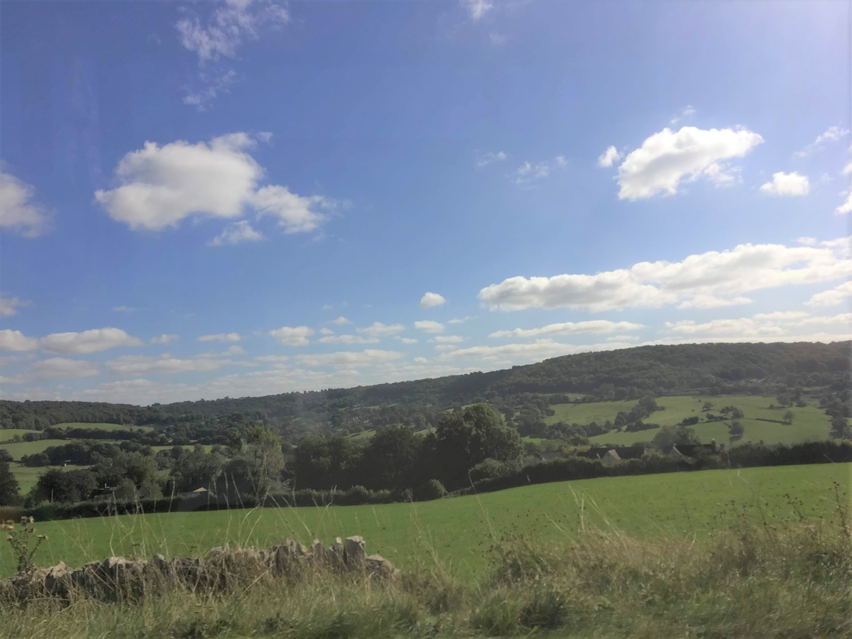 f:id:cumicumi100:20190918232437j:plain f:id:cumicumi100:20190918232437j:plain