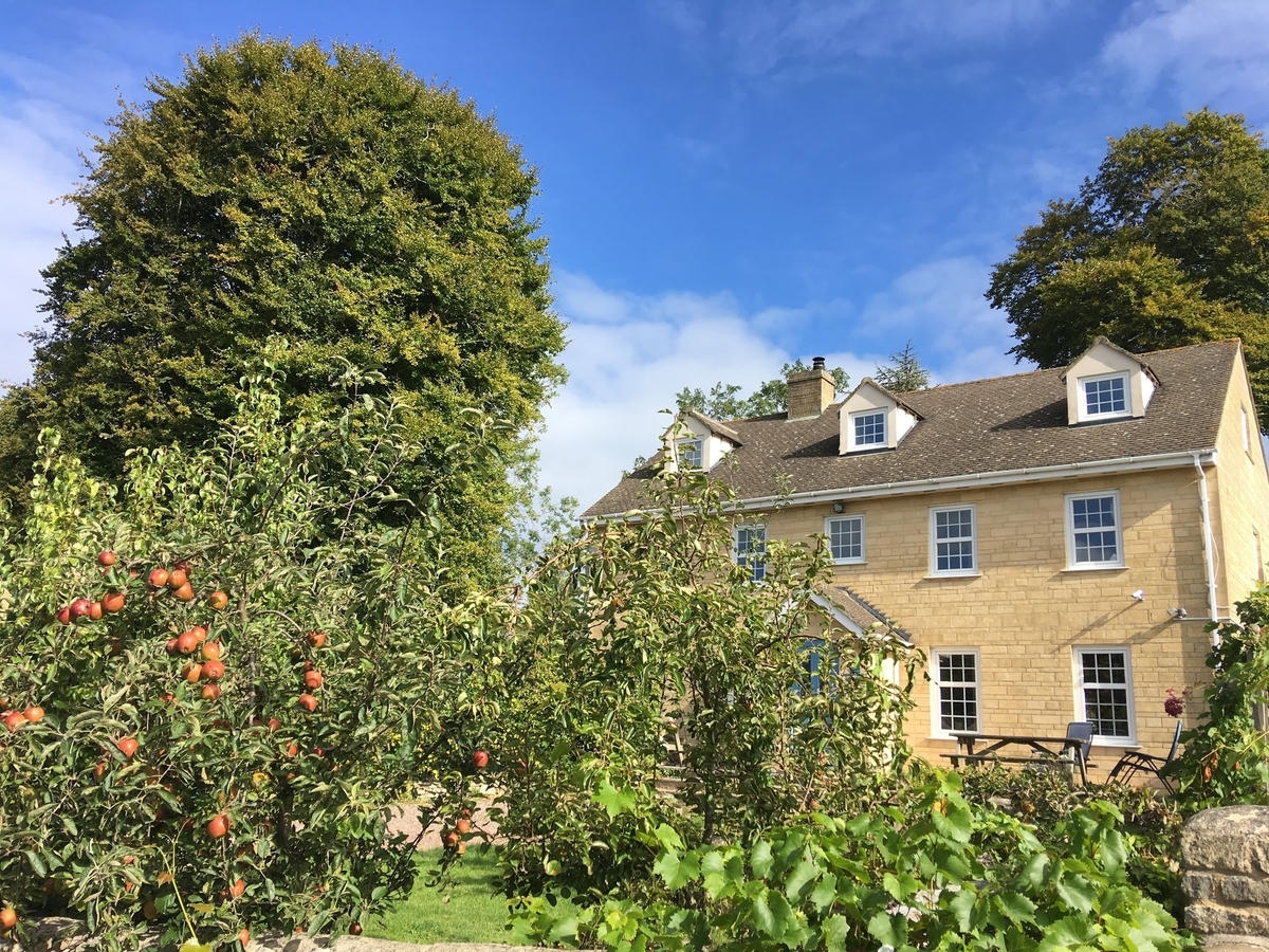 f:id:cumicumi100:20190918232445j:plain