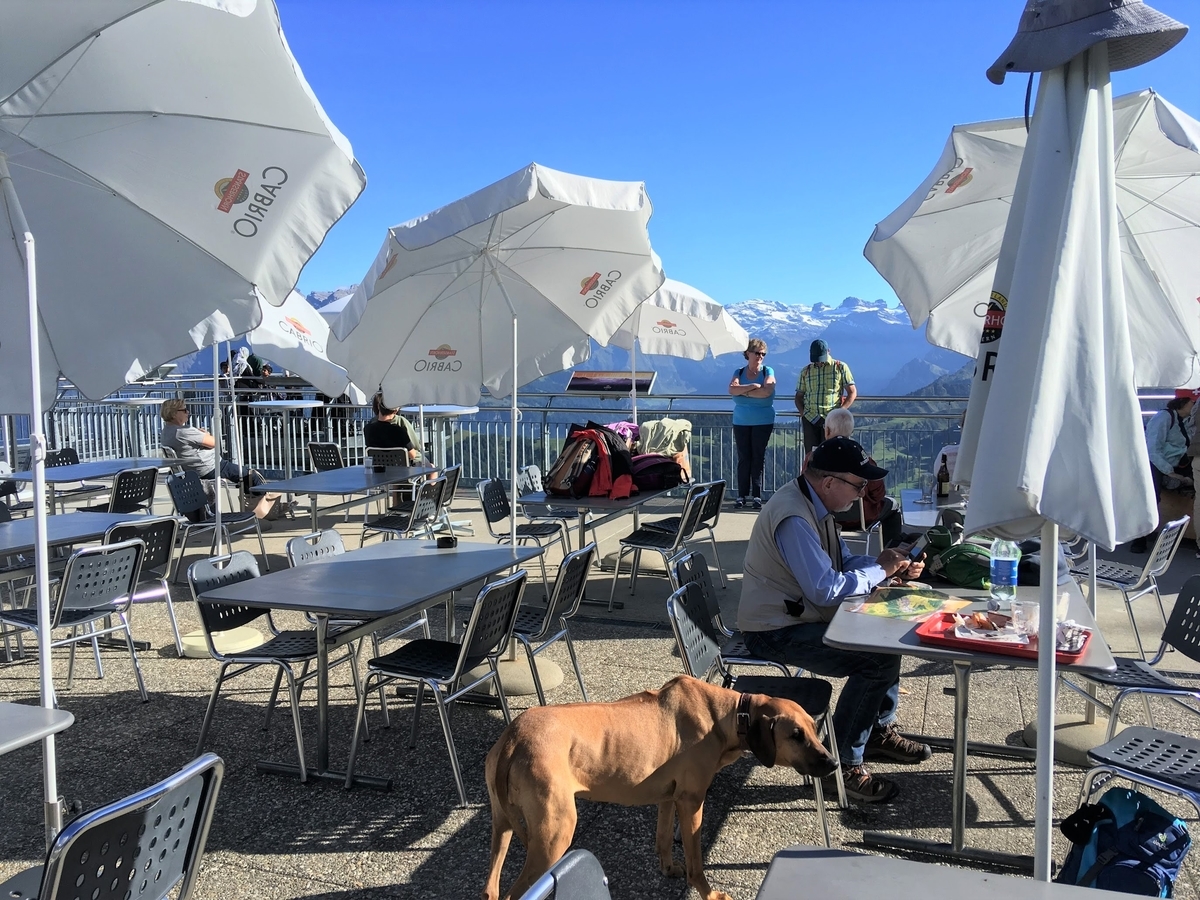 f:id:cumicumi100:20190924164436j:plain f:id:cumicumi100:20190924164436j:plain