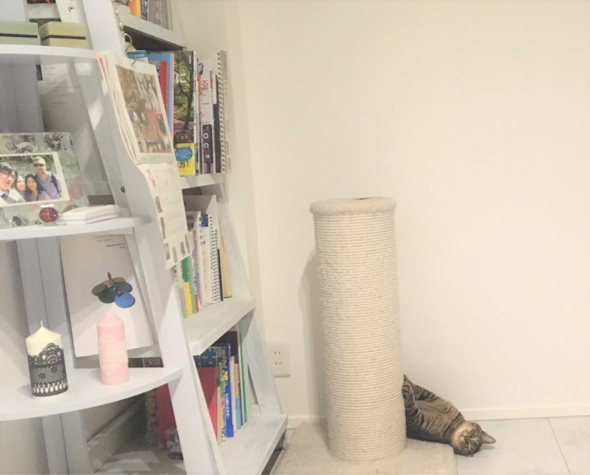 f:id:cumicumi100:20191101112759j:plain