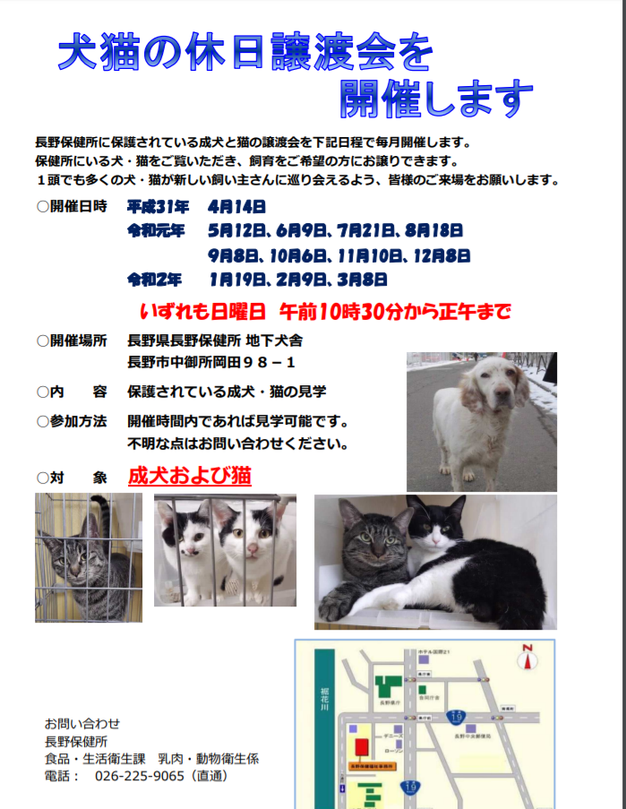 保護猫を里親として迎えたい方に 長野市 千曲市 上田市の譲渡会情報 あんもなさん家 猫多頭飼い ミニマリストになりたい夫婦