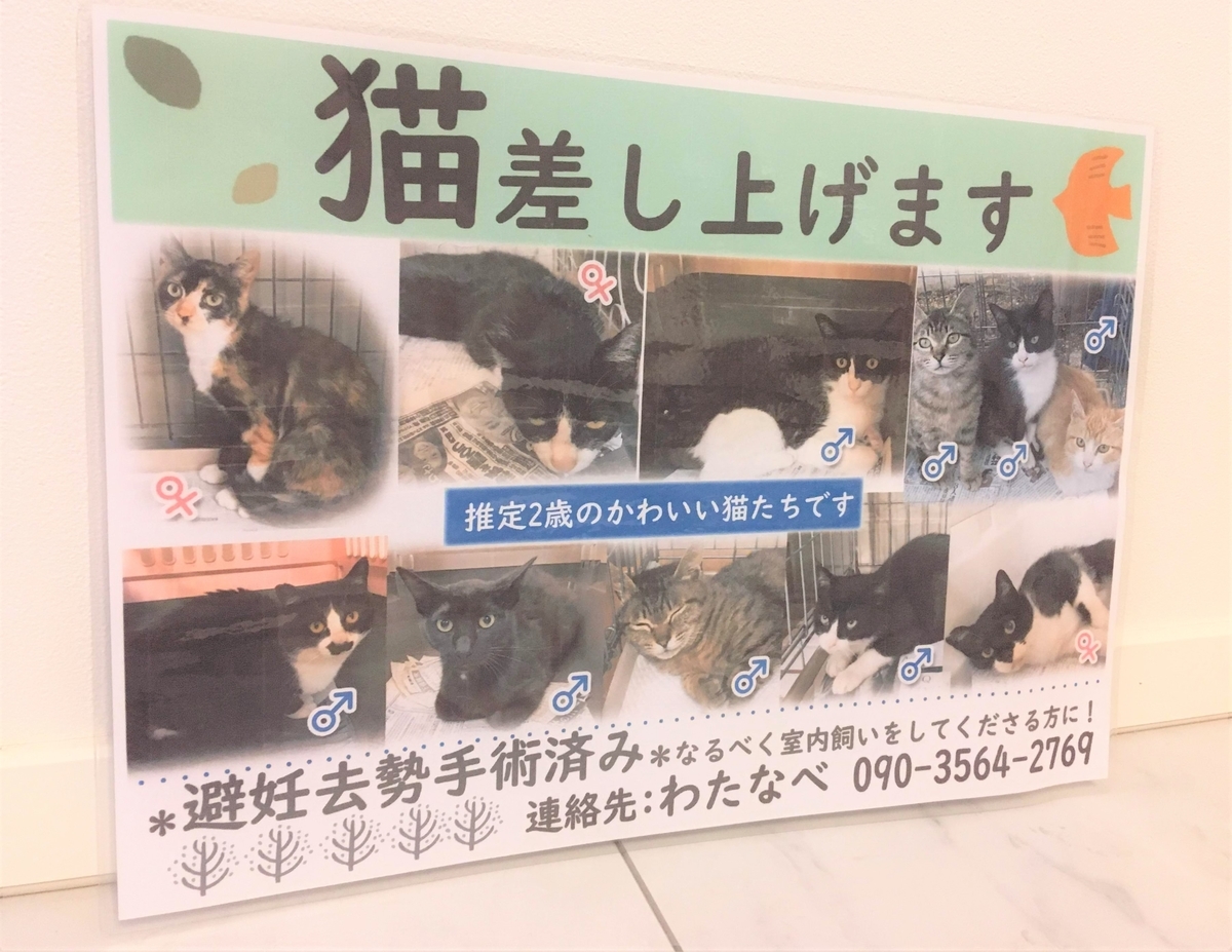 f:id:cumicumi100:20200603171456j:plain