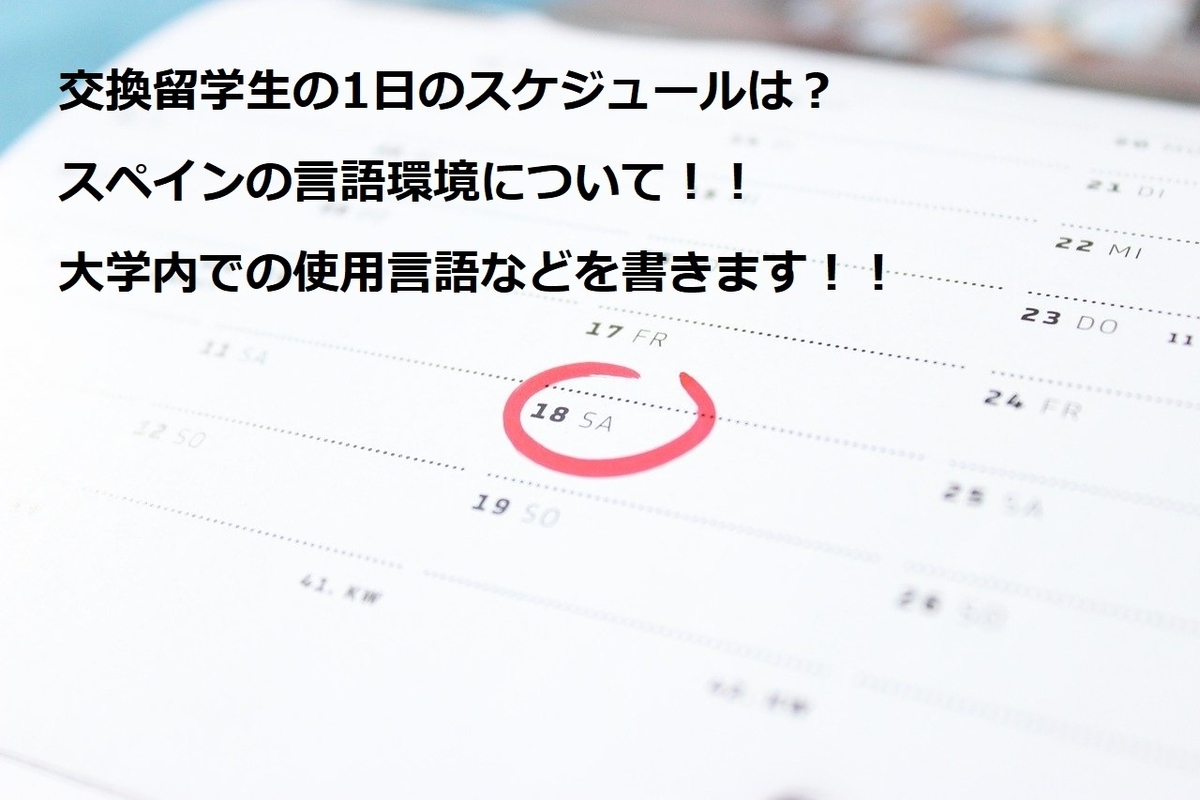 f:id:cupexperience:20200209231246j:plain