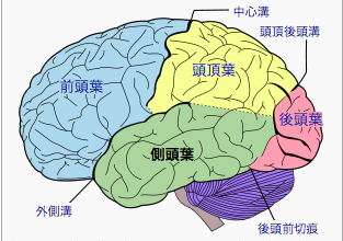 f:id:curama-tech:20180914142509p:plain f:id:curama-tech:20180914142509p:plain