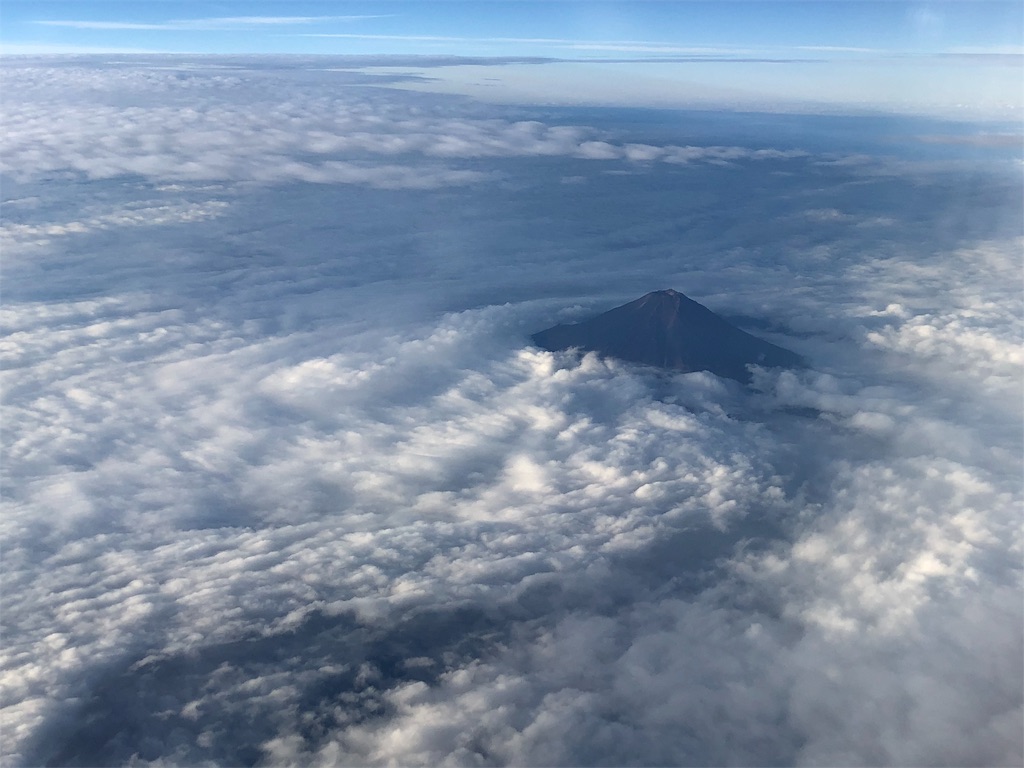 f:id:cure_mlky23:20181021004414j:image f:id:cure_mlky23:20181021004414j:image