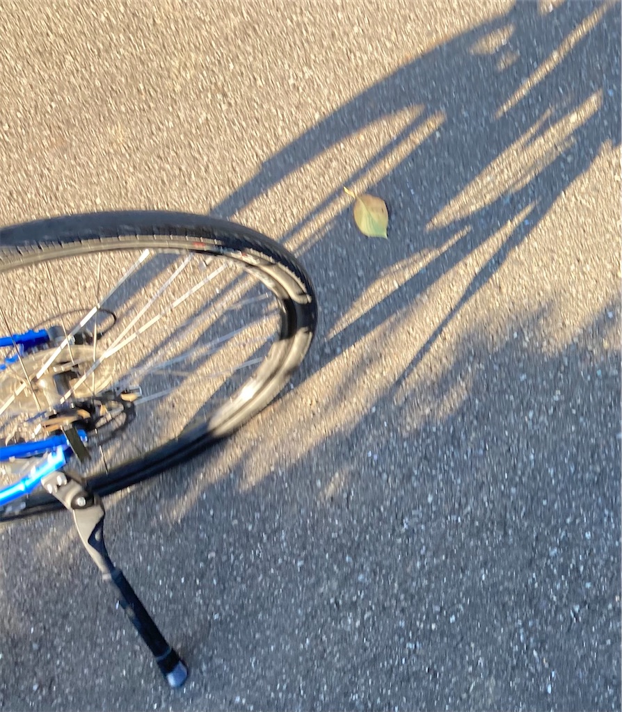 f:id:cure_researcher:20211101165406j:image