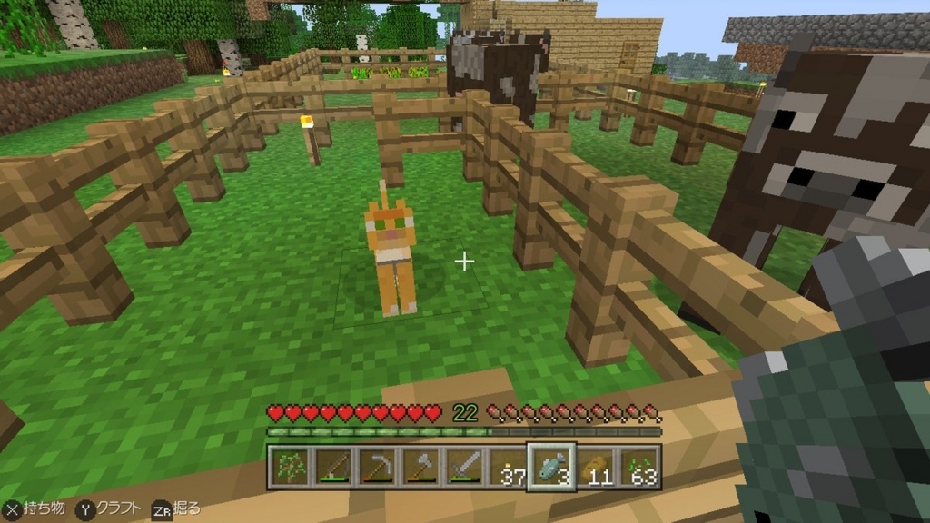 マインクラフトでヤマネコをつかまえたよー むちんブログ マインクラフトでヤマネコをつかまえたよー むちんブログ