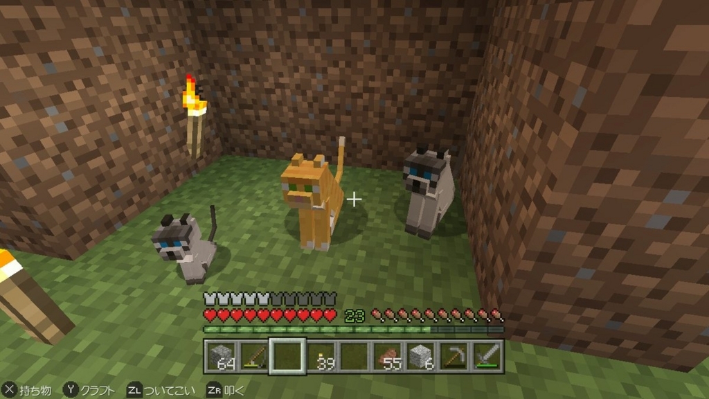マイクラで猫の繁殖に成功したよー むちんブログ マイクラで猫の繁殖に成功したよー むちんブログ