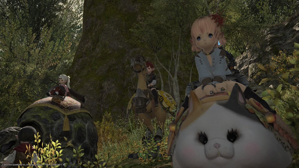 f:id:curenameko:20200615071041j:plain