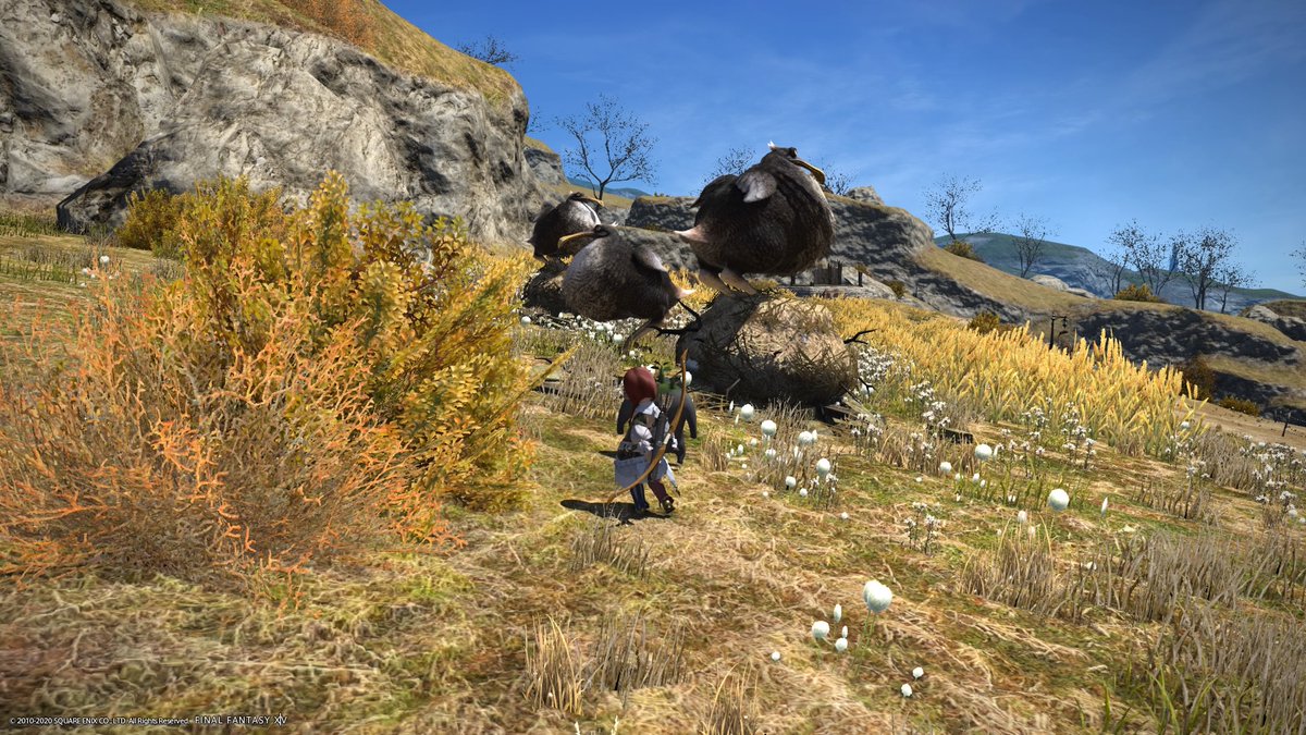 f:id:curenameko:20200625103251j:plain f:id:curenameko:20200625103251j:plain