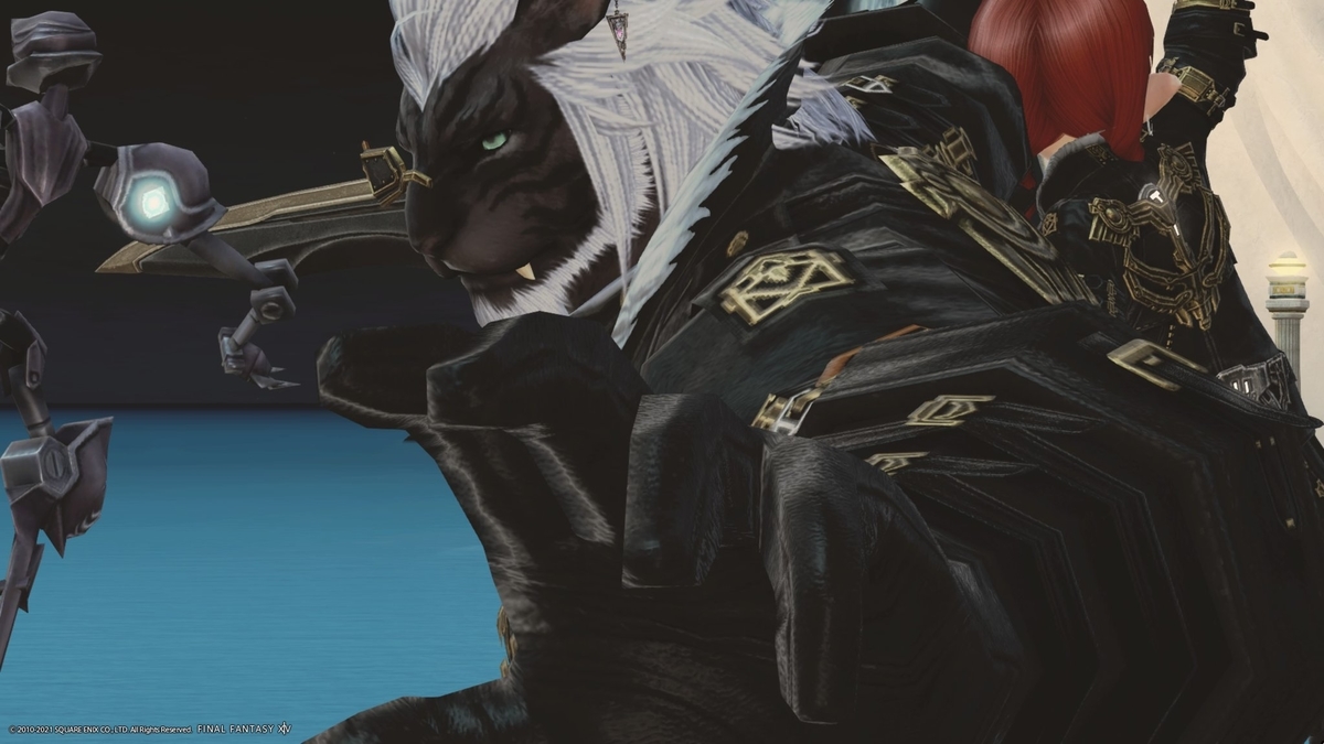 f:id:curenameko:20220228174906j:plain