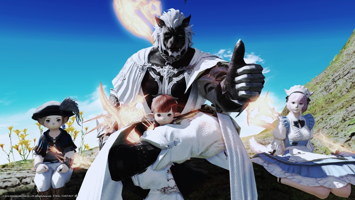 f:id:curenameko:20220228190135j:plain