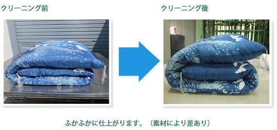 せんたく便のふとん丸洗いはダニの除去率100% 都立衛生研究所認定!