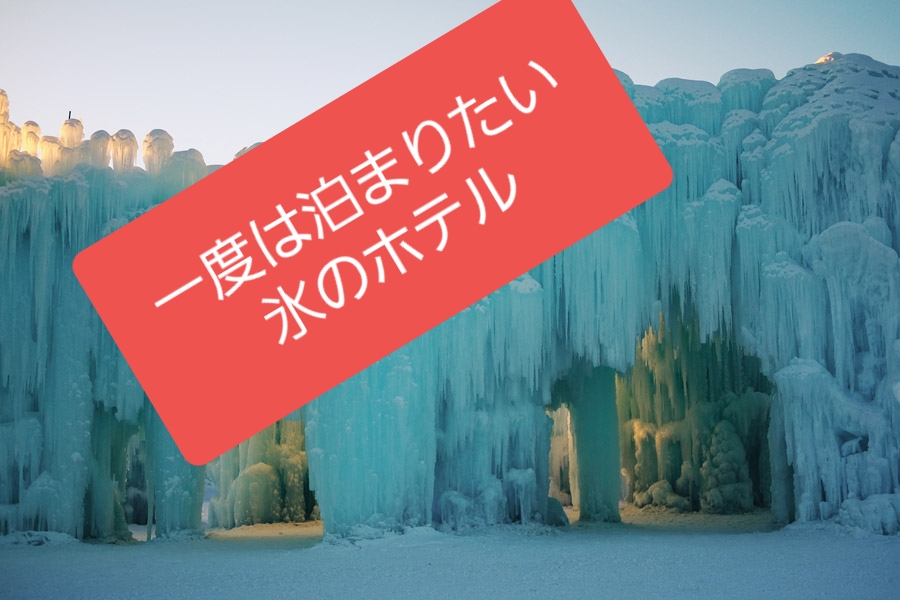 f:id:curiosity365:20190119152244j:plain