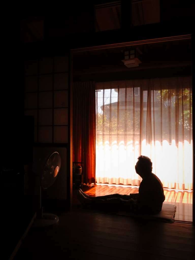 f:id:curious-megane:20161016184720j:plain