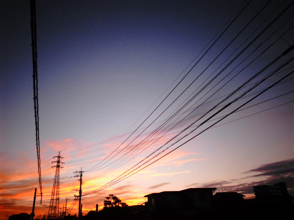 f:id:curious-megane:20161020001209j:plain