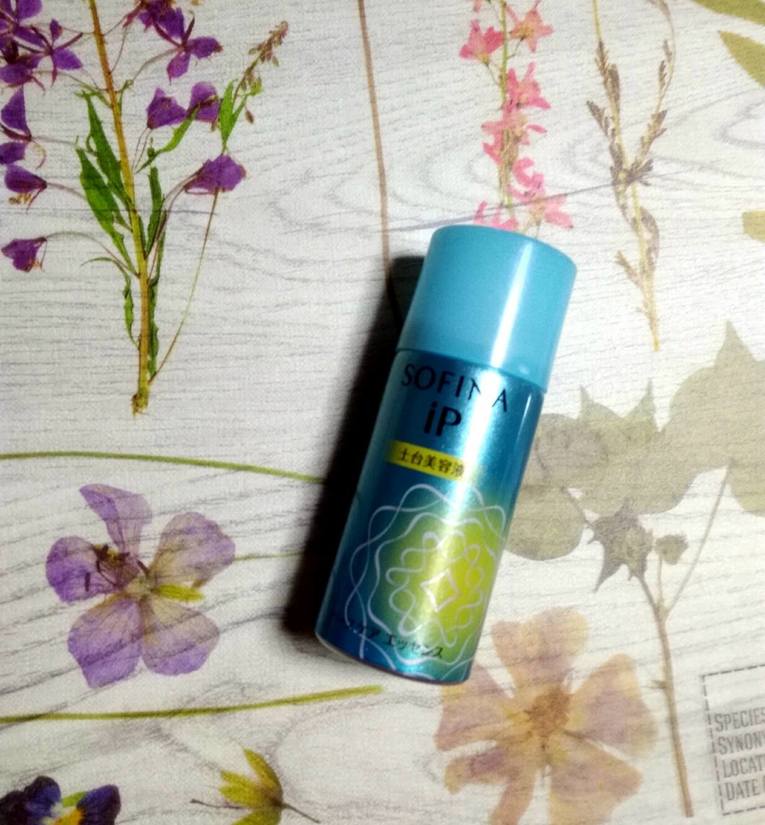 好奇心旺盛olが発信