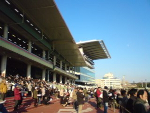 東京大賞典の大井競馬場