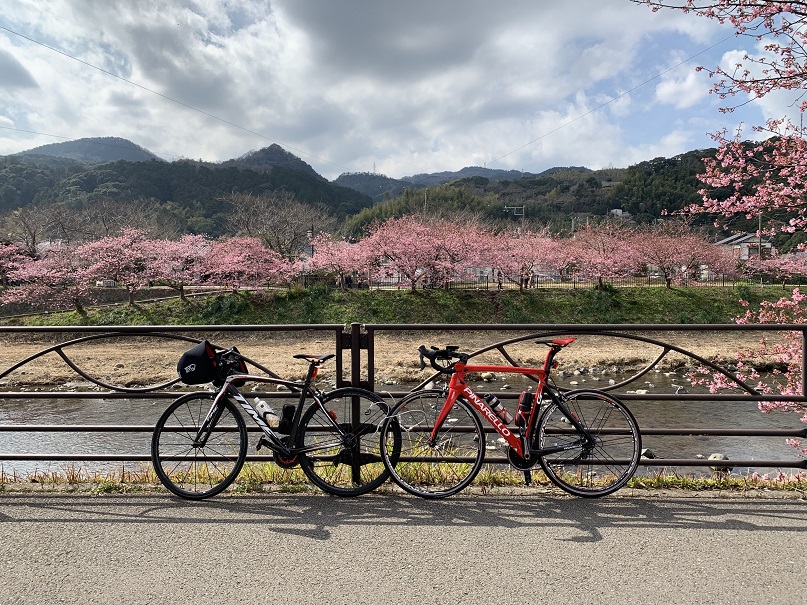f:id:currysenpaisukisuki:20190219163604j:plain f:id:currysenpaisukisuki:20190219163604j:plain