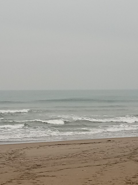f:id:currywave:20251113184440j:image f:id:currywave:20251113184440j:image