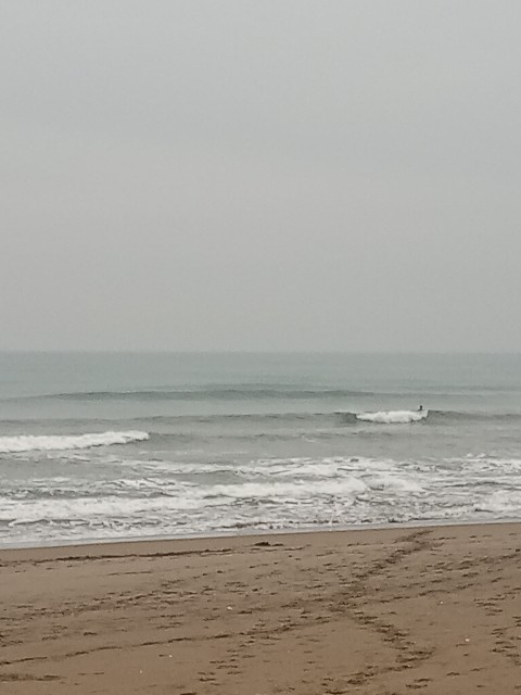 f:id:currywave:20251113184456j:image f:id:currywave:20251113184456j:image