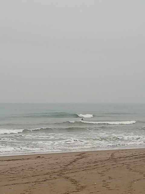 f:id:currywave:20251113184506j:image f:id:currywave:20251113184506j:image