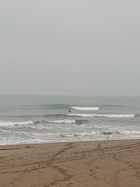 f:id:currywave:20251113184528j:image f:id:currywave:20251113184528j:image