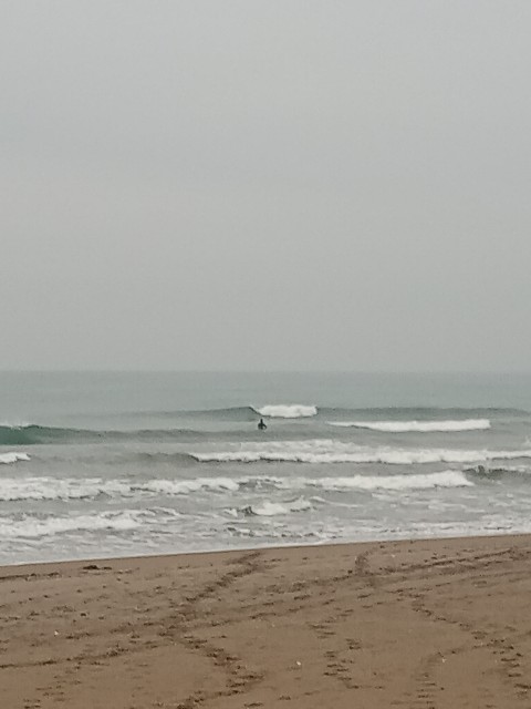 f:id:currywave:20251113184539j:image f:id:currywave:20251113184539j:image