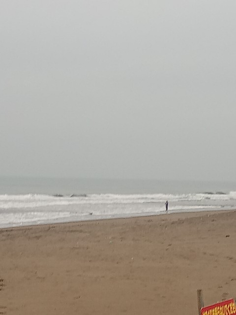 f:id:currywave:20251113184553j:image f:id:currywave:20251113184553j:image