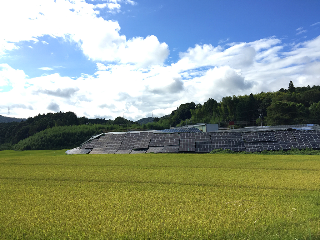 f:id:curuhamu:20160829221046j:plain