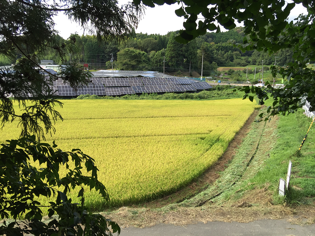 f:id:curuhamu:20160829221125j:plain