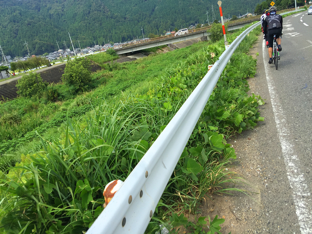 f:id:curuhamu:20160914225230j:plain
