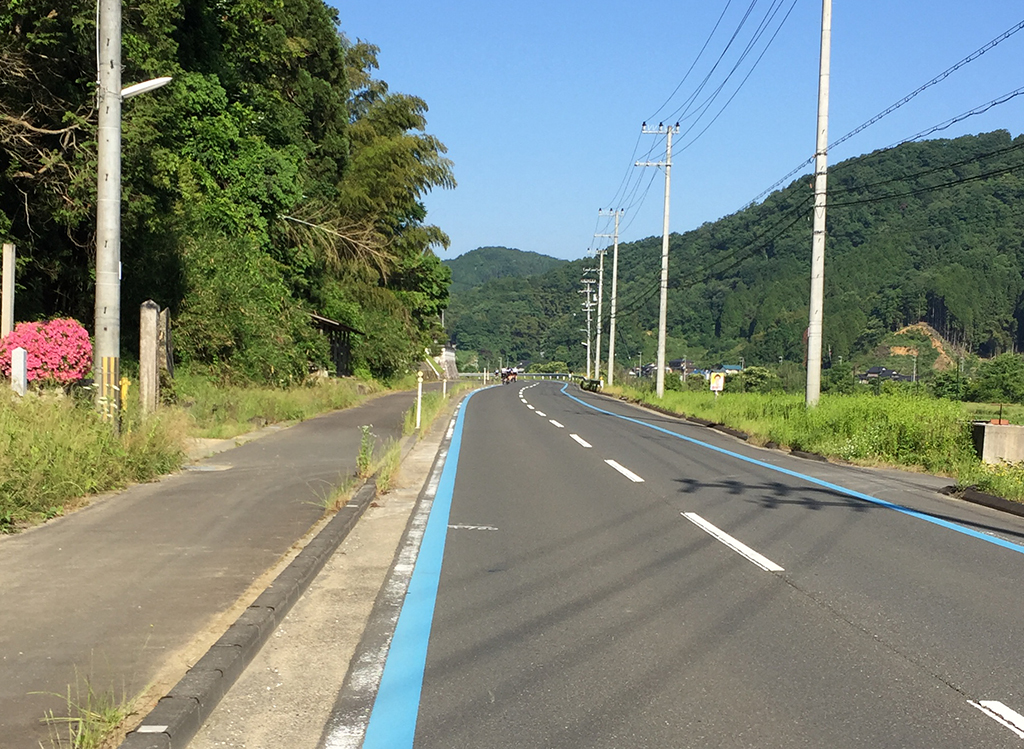 f:id:curuhamu:20180610194057j:plain