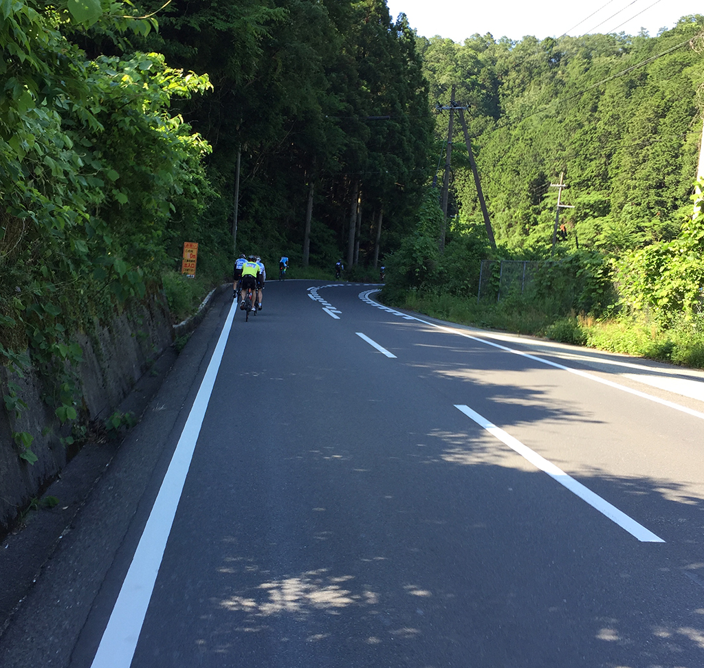 f:id:curuhamu:20180610194059j:plain