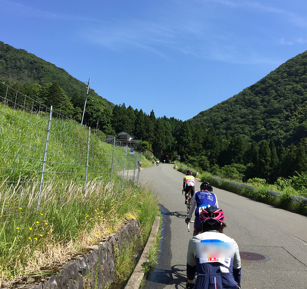 f:id:curuhamu:20180610194105j:plain